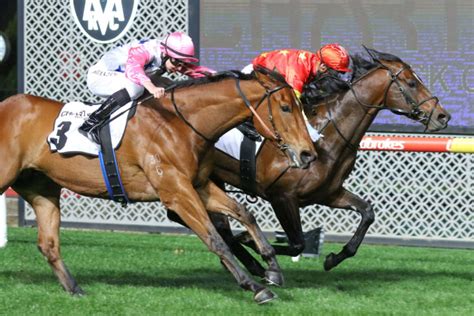 aj moir stakes